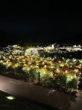 いばらきフラワーパークに投稿された画像（2023/10/9）