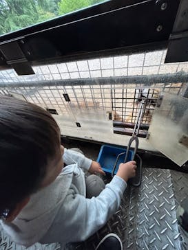 群馬サファリパークに投稿された画像（2023/10/9）