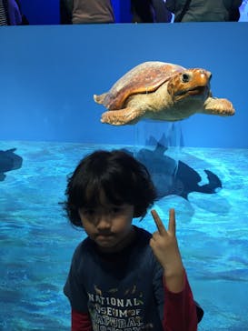 特別展「海　―生命のみなもと―」（国立科学博物館）に投稿された画像（2023/10/9）