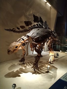 国立科学博物館に投稿された画像（2023/10/9）