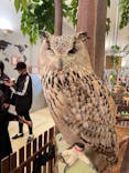 Moff animal cafe イオンモール幕張新都心店に投稿された画像（2023/10/9）