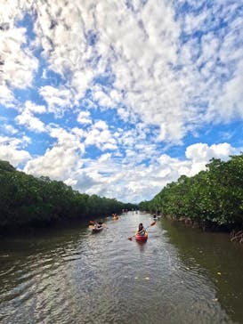 西表島 ADVENTURE PiPi（アドベンチャーピピ）に投稿された画像（2023/10/9）