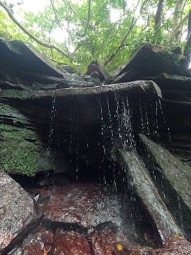 西表島 ADVENTURE PiPi（アドベンチャーピピ）に投稿された画像（2023/10/9）