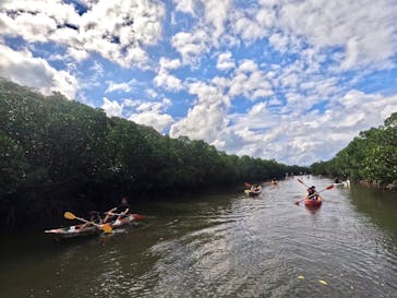 西表島 ADVENTURE PiPi（アドベンチャーピピ）に投稿された画像（2023/10/9）