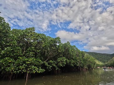 西表島 ADVENTURE PiPi（アドベンチャーピピ）に投稿された画像（2023/10/9）