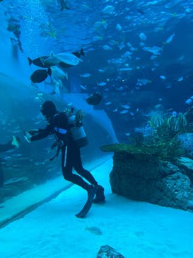 名古屋港水族館に投稿された画像（2023/10/9）