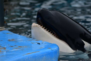 名古屋港水族館に投稿された画像（2023/10/9）