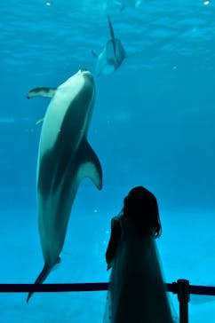 名古屋港水族館に投稿された画像（2023/10/9）