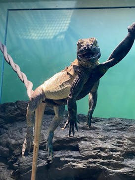 サンシャイン水族館に投稿された画像（2023/10/9）