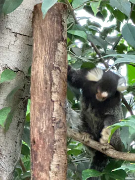 神戸どうぶつ王国に投稿された画像（2023/10/9）