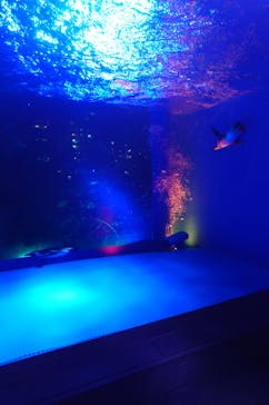 サンシャイン水族館に投稿された画像（2023/10/9）