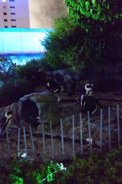 サンシャイン水族館に投稿された画像（2023/10/9）