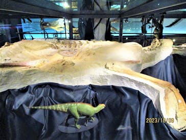 福井県立恐竜博物館に投稿された画像（2023/10/9）