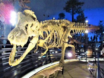 福井県立恐竜博物館に投稿された画像（2023/10/9）