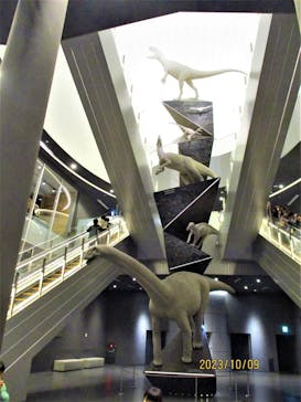 福井県立恐竜博物館に投稿された画像（2023/10/9）