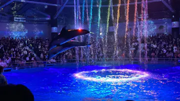 マクセル アクアパーク品川に投稿された画像（2023/10/9）