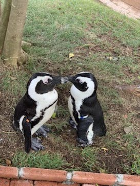 マリンワールド海の中道に投稿された画像（2023/10/9）