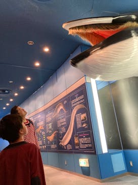 名古屋港水族館に投稿された画像（2023/10/9）