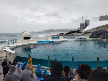 鴨川シーワールドに投稿された画像（2023/10/9）