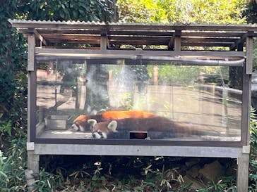 よこはま動物園ズーラシアに投稿された画像（2023/10/9）