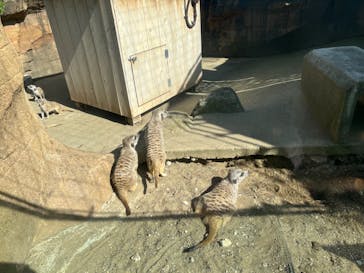 よこはま動物園ズーラシアに投稿された画像（2023/10/9）
