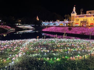 レオマリゾートに投稿された画像（2023/10/9）