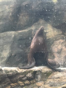 環境水族館アクアマリンふくしまに投稿された画像（2023/10/9）