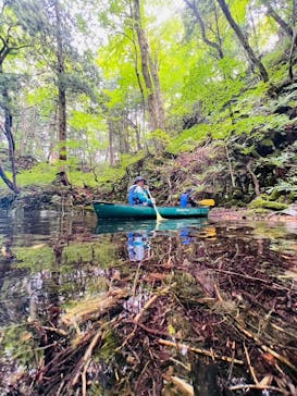 グリランド株式会社に投稿された画像（2023/10/9）