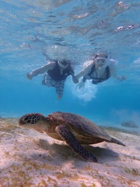 宮古島マリン GB QUESTに投稿された画像（2023/10/9）