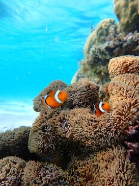 宮古島マリン GB QUESTに投稿された画像（2023/10/9）