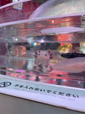 NARA IKIMONO MUSEUMに投稿された画像（2023/10/9）