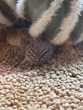 NARA IKIMONO MUSEUMに投稿された画像（2023/10/9）