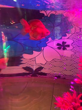 NARA IKIMONO MUSEUMに投稿された画像（2023/10/9）