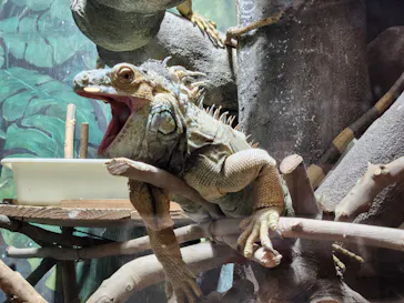 天王寺動物園に投稿された画像（2023/10/9）