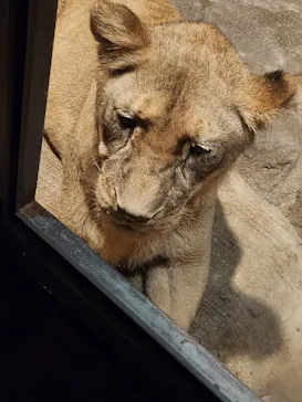 天王寺動物園に投稿された画像（2023/10/9）