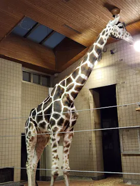 天王寺動物園に投稿された画像（2023/10/9）