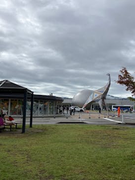 福井県立恐竜博物館に投稿された画像（2023/10/9）