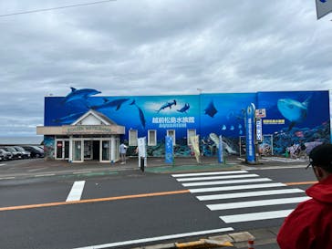越前松島水族館に投稿された画像（2023/10/10）