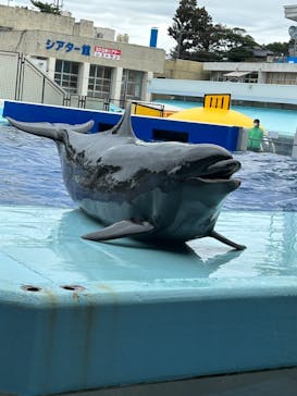越前松島水族館に投稿された画像（2023/10/10）
