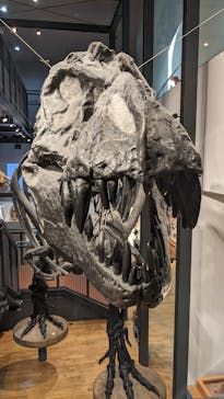 福井県立恐竜博物館に投稿された画像（2023/10/10）