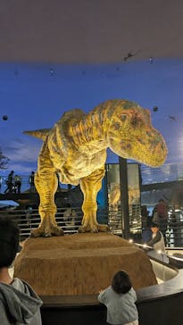 福井県立恐竜博物館に投稿された画像（2023/10/10）