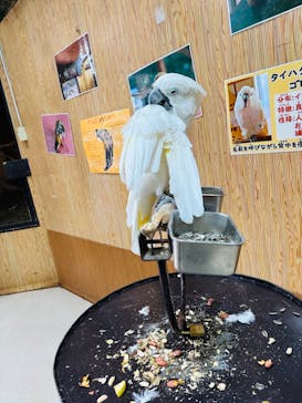 那須ワールドモンキーパークに投稿された画像（2023/10/10）