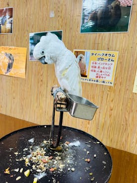 那須ワールドモンキーパークに投稿された画像（2023/10/10）