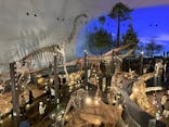 福井県立恐竜博物館に投稿された画像（2023/10/10）