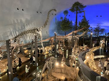 福井県立恐竜博物館に投稿された画像（2023/10/10）