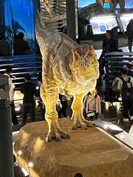 福井県立恐竜博物館に投稿された画像（2023/10/10）