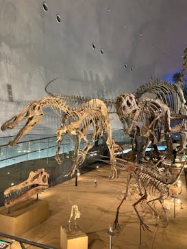 福井県立恐竜博物館に投稿された画像（2023/10/10）
