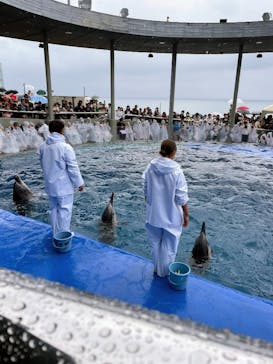 大分マリーンパレス水族館 「うみたまご」に投稿された画像（2023/10/10）