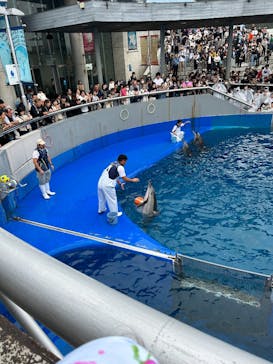 大分マリーンパレス水族館 「うみたまご」に投稿された画像（2023/10/10）