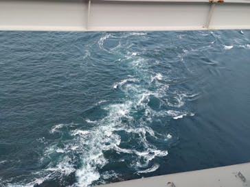 徳島県立 渦の道に投稿された画像（2023/10/10）